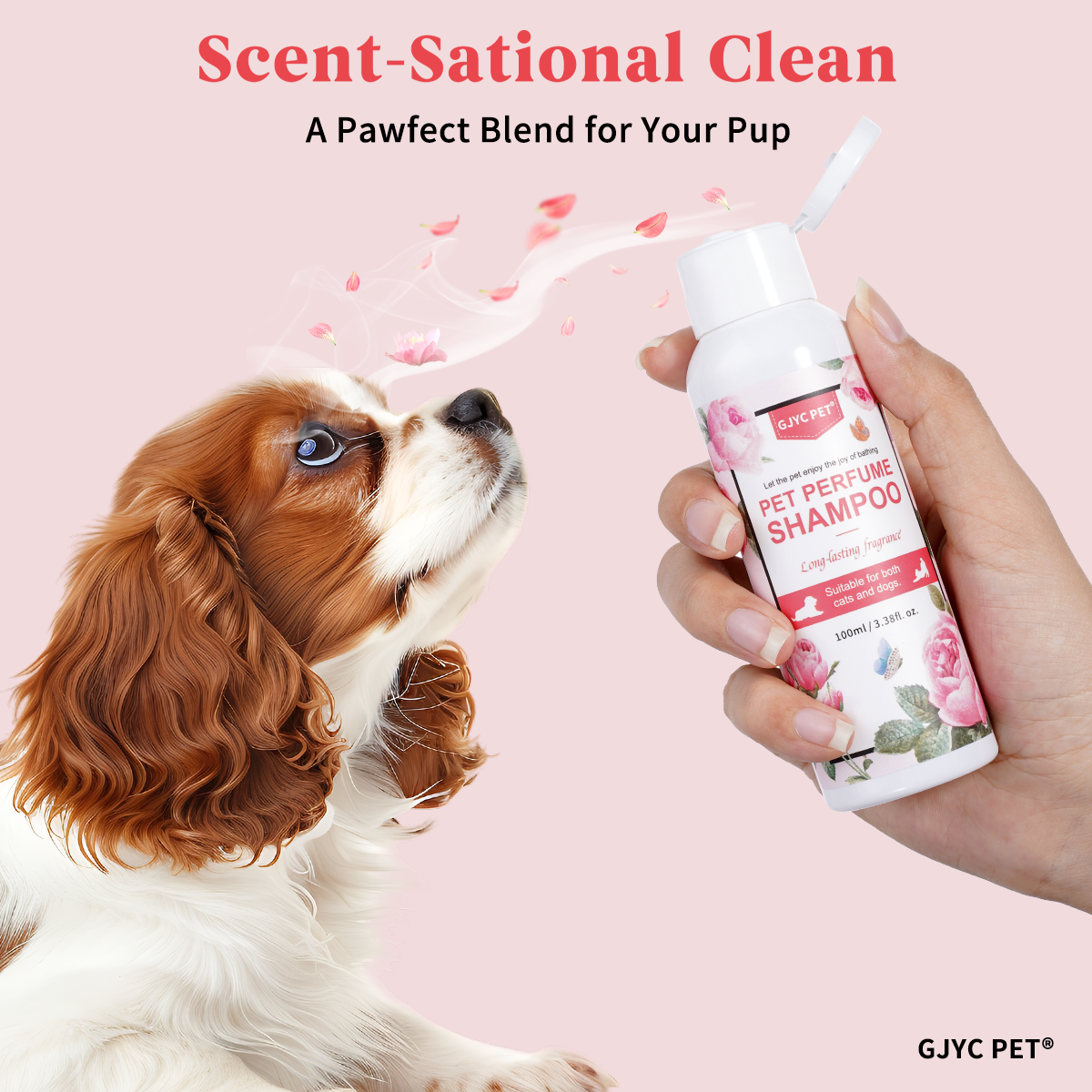Perfumed Pet Shampoo for Dogs  – Perfume Fragrance Shampoo Bewertung und Preis