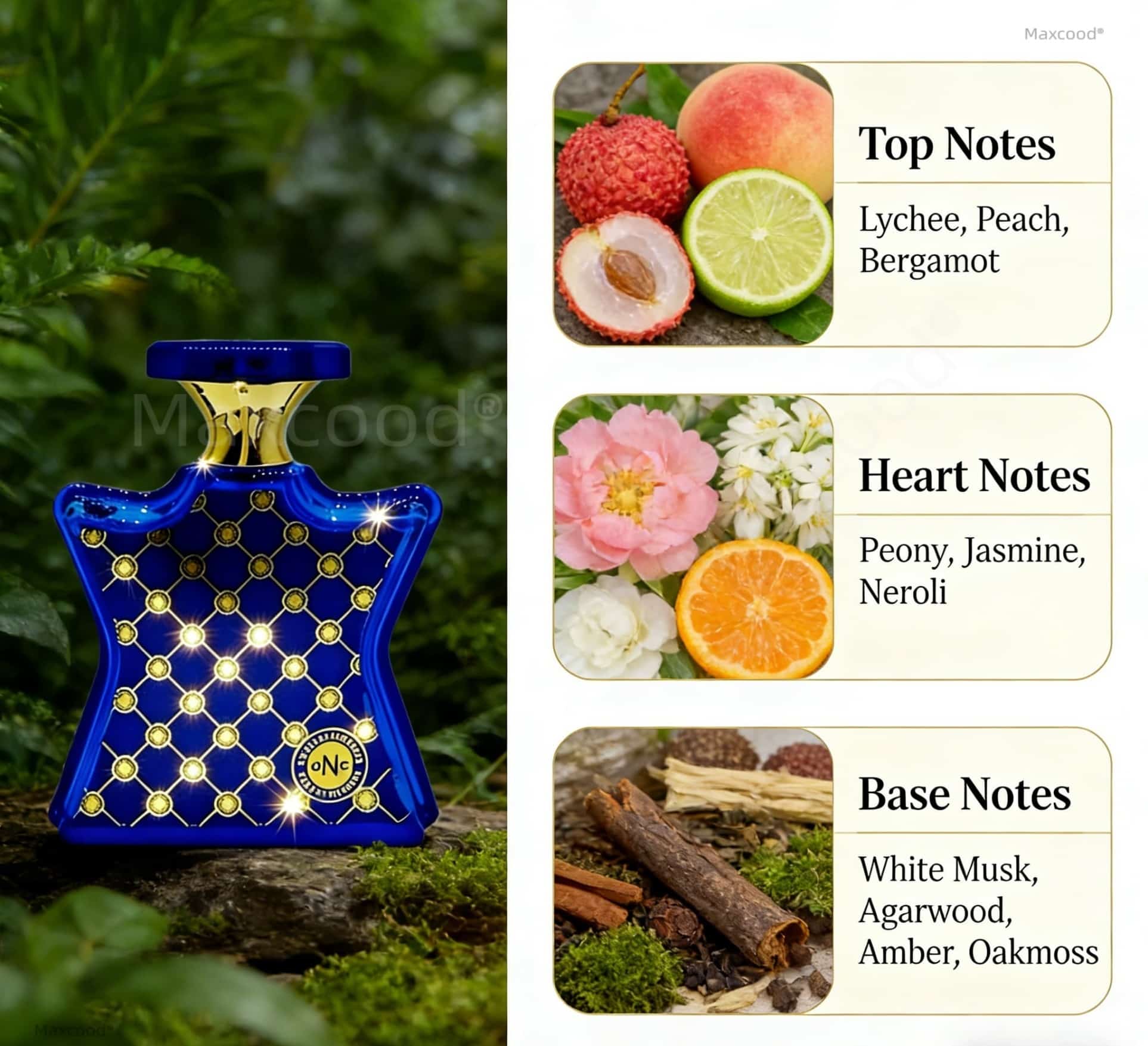 Citrus and Floral Perfume Long – Unique Perfume Fragrance Bewertung und Preis