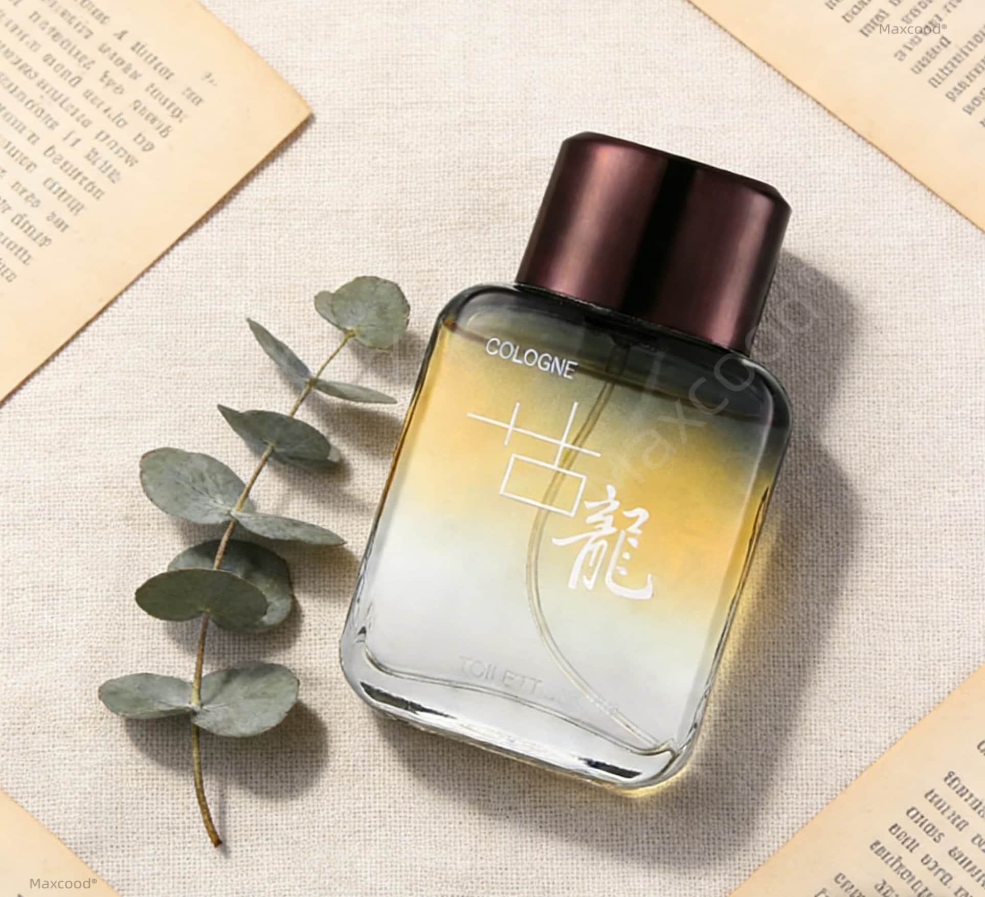Maxcood A Citrus Men Cologne P – Unique Perfume Fragrance Bewertung und Preis